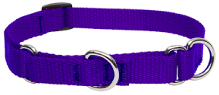 Lupine Combo Collar Purple 3/4" 14-20