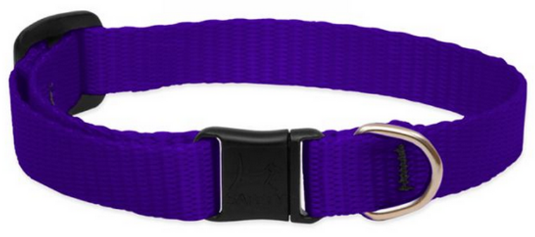 Lupine Safety Cat Collar Purple 1/2" 8-12