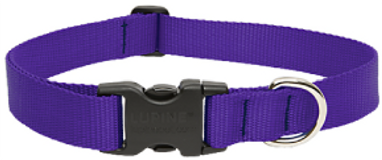 Lupine Collar Purple 1" 12-20