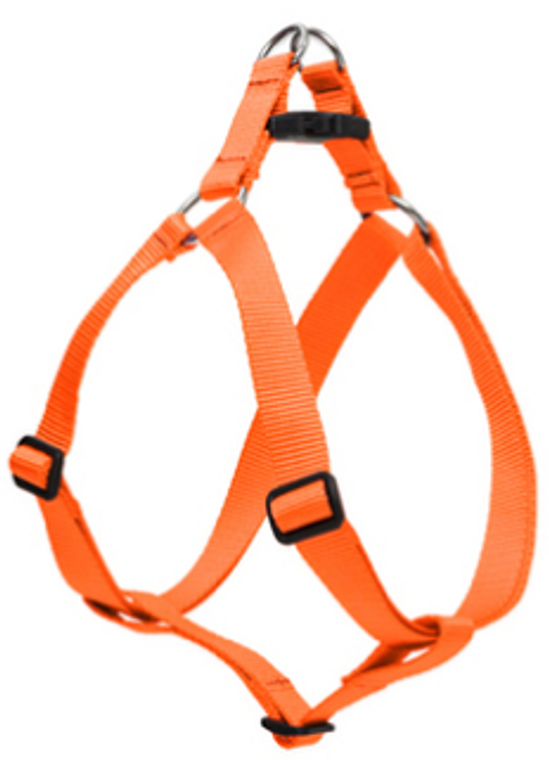 Lupine Step-In Harness Orange  3/4" 15-21