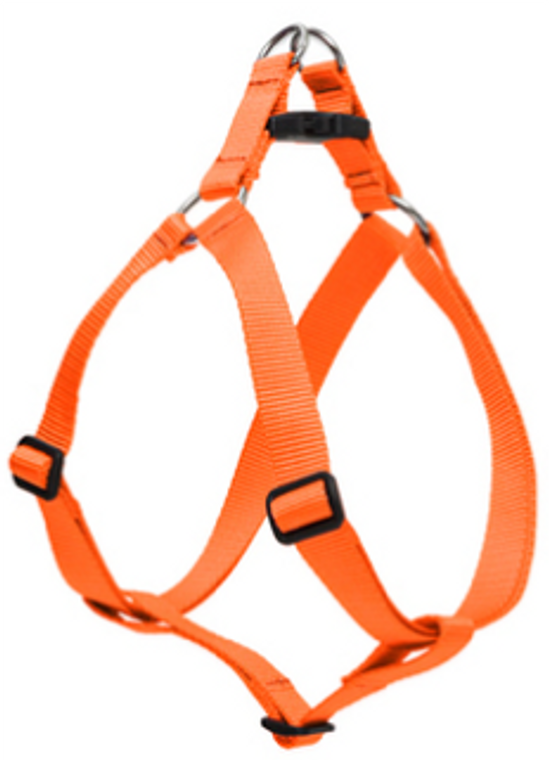 Lupine Step-In Harness Orange 1" 19-28