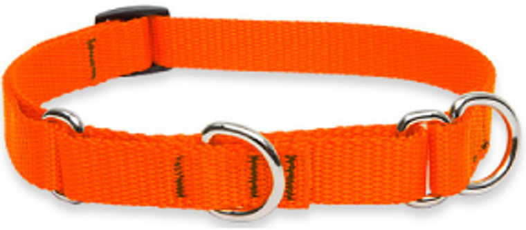 Lupine Combo Collar 3/4" 10-14 Orange