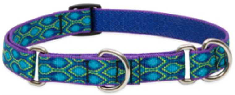 Lupine Combo Collar 3/4" 10-14 Rain Song