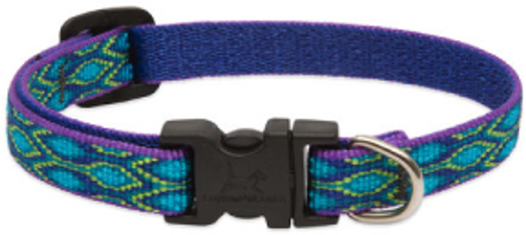 Lupine Collar Rain Song 1/2" 10-16