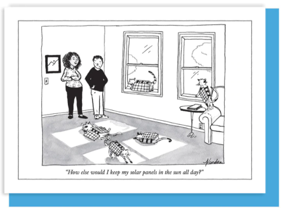 New Yorker Card Cat Solar Panels