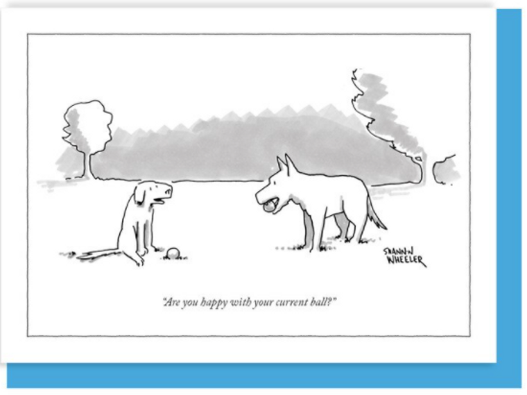New Yorker Card Dogs / Are You Happy Ball