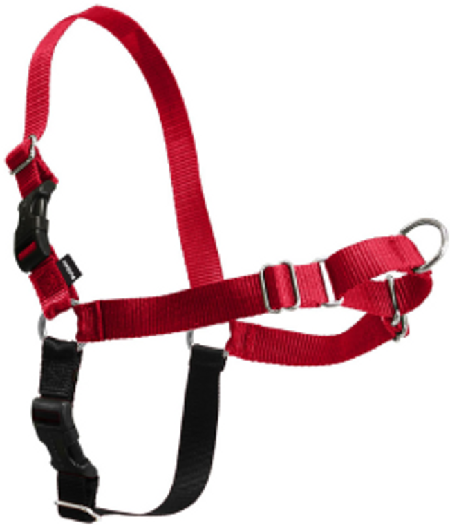 Premier Easy Walk Dog Harness Small Red