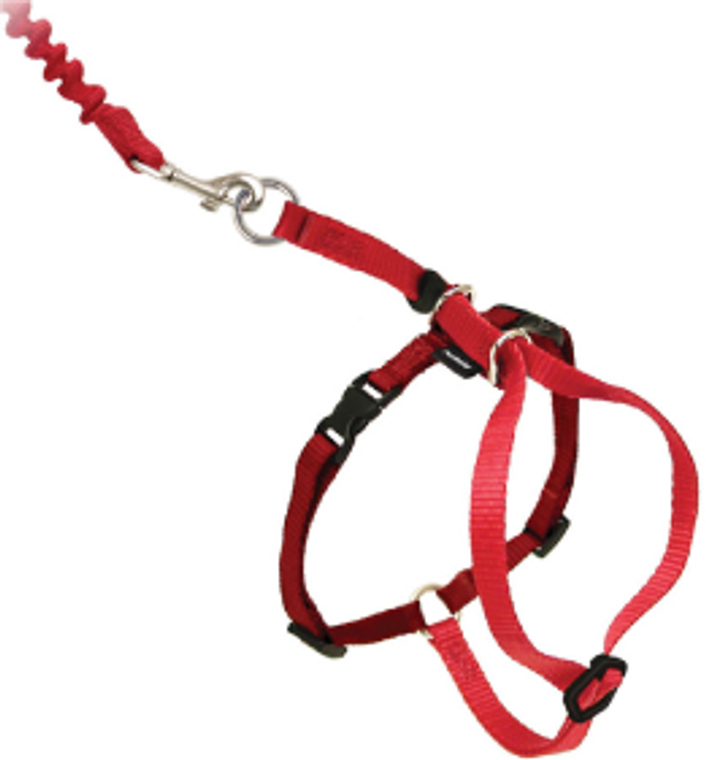 Premier Small Come With Me Kitty Red Harness