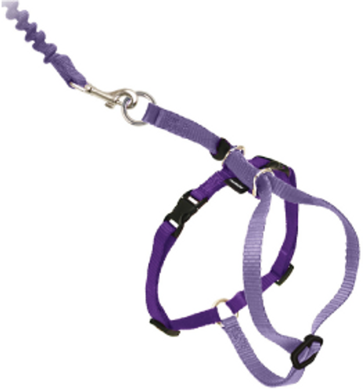 Premier Small Come With Me Kitty Purple Harness