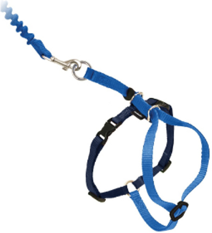 Premier Large Come With Me Kitty Blue Harness