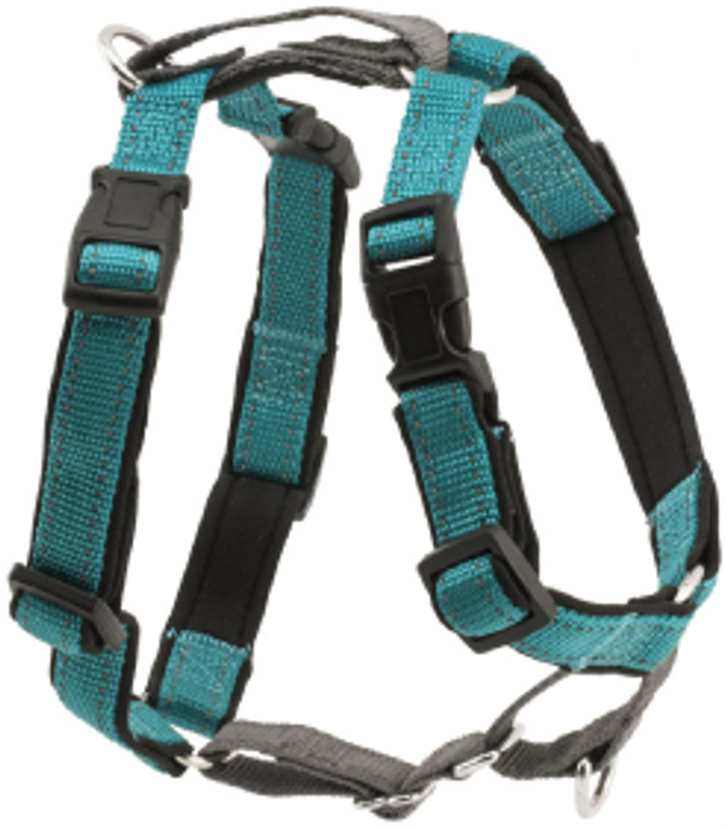 Premier 3 In1 Dog Harness Extra Small Teal