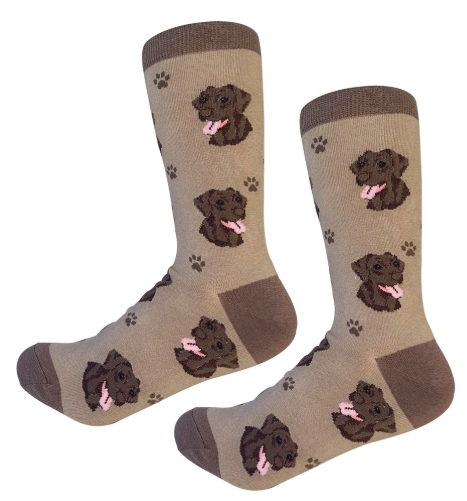 Socks Labrador Chocolate