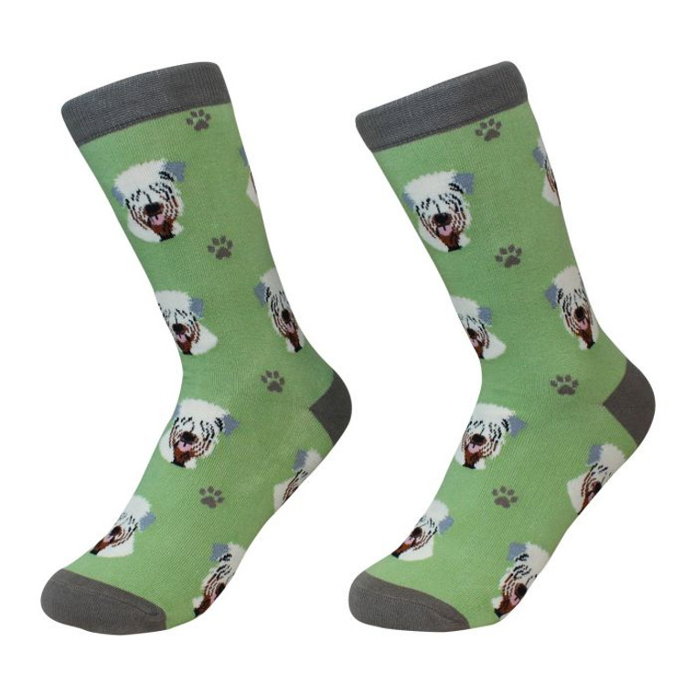 Socks Soft Coated Wheaten Terrier