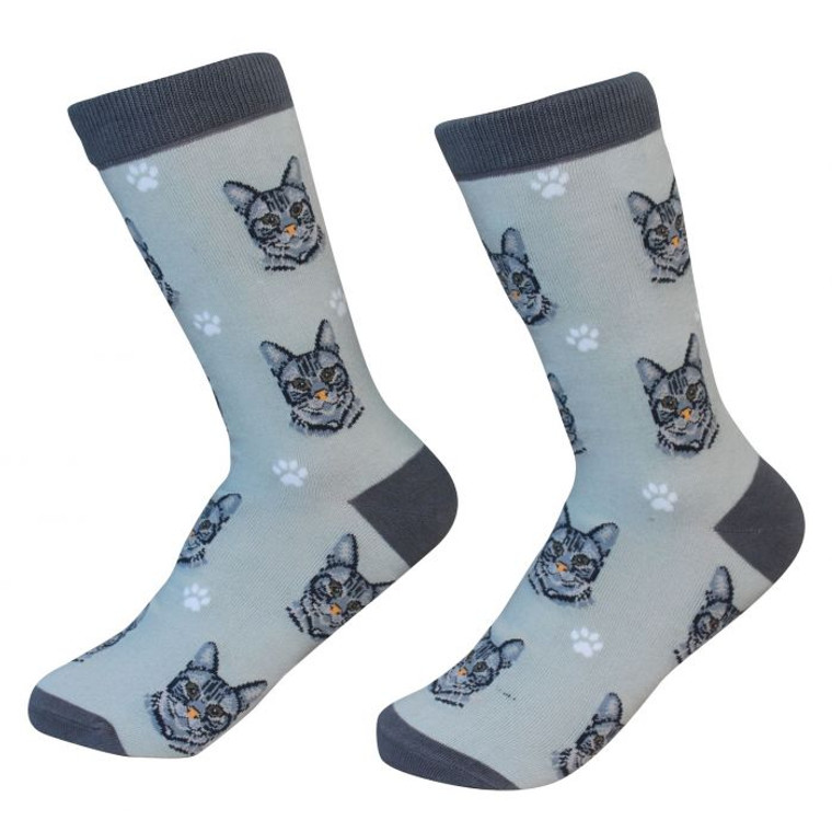 Socks Cat Tabby Silver