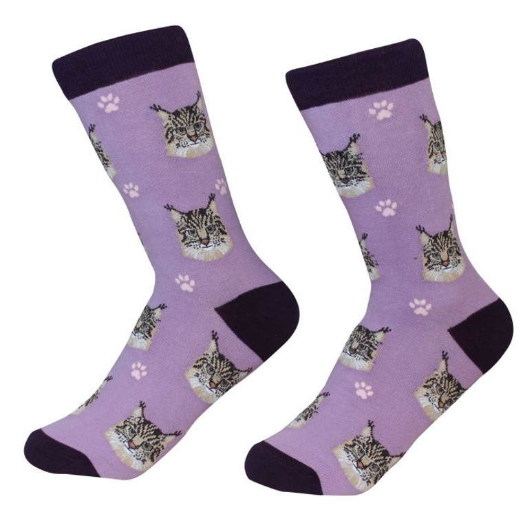 socks Cat Maine Coon