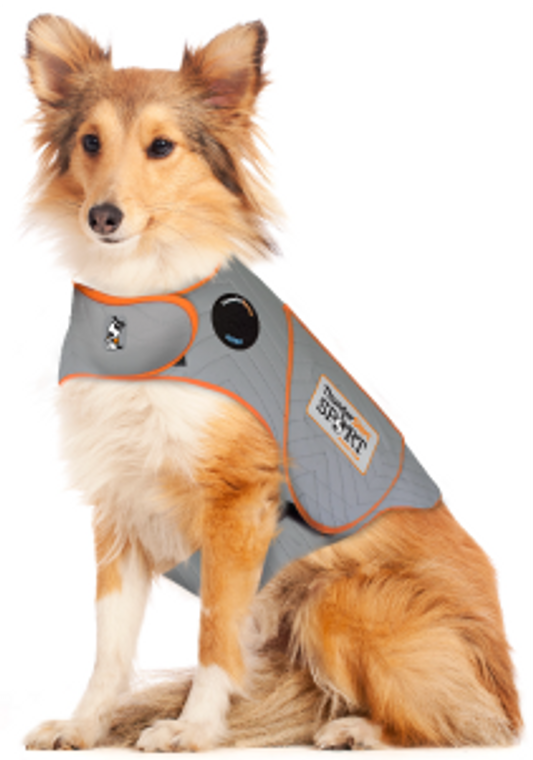 Large 24-32 Platinum Thundershirt