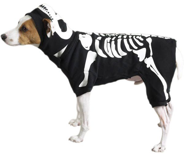 Zack & Zoey Canine Glow Bones Costume Extra Large