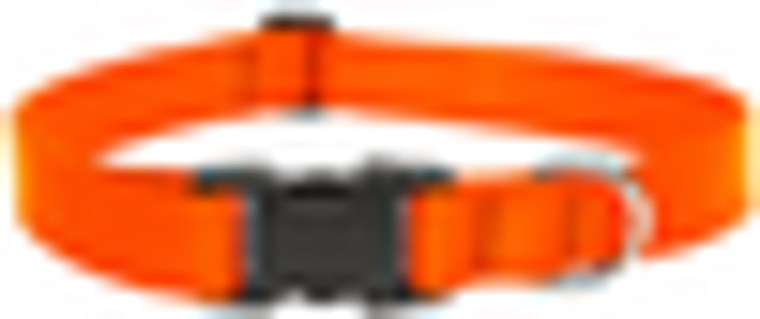 Lupine Collar Orange 1" 12-20