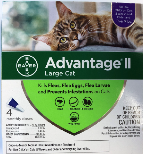 advantage 2 for large cats