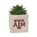 Mini Faux Potted Succulent