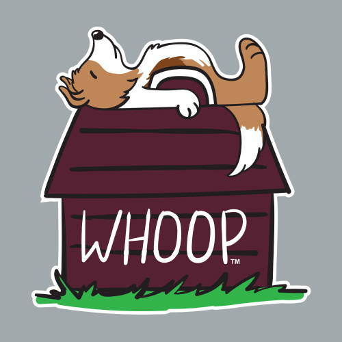 Texas A&M sticker featuring a Reveille-inspired dog resting on a maroon dog house with "Whoop" lettering. Decorative sticker for laptops, water bottles, notebooks, tumblers, and everyday accessories.