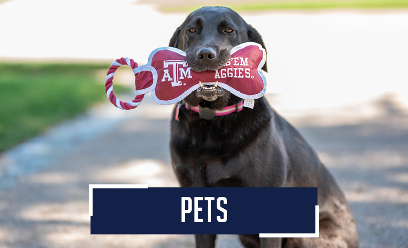 <img src="warehousegiftsundertwentyfive.jpg" alt=" button displaying candy canes pinecones and ornaments with text reading Gifts Under 25 dollars">