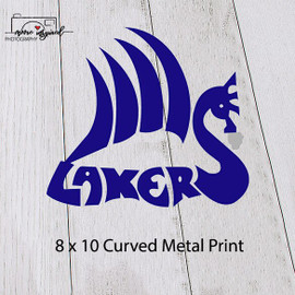 CURVED METAL PRINT SHELL LAKE-BASEBALL