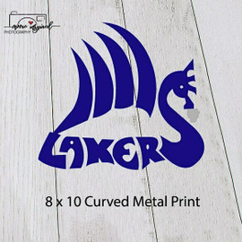 CURVED METAL PRINT SHELL LAKE-VOLLEYBALL