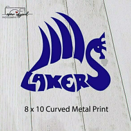 CURVED METAL PRINT SHELL LAKE-SOFTBALL 5-6TH GRADE