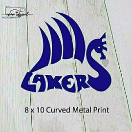 CURVED METAL PRINT SHELL LAKE-YOUTH BASEBALL PEEWEE