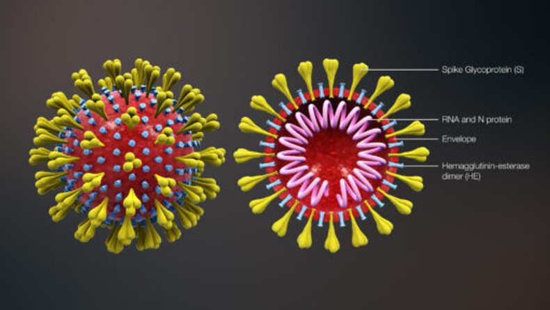 Cleaning and Covid-19 (Coronavirus