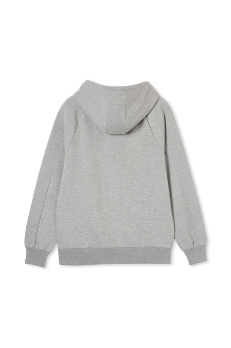 GFC 2024  Men's Team Hood - Grey Marle