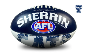 Geelong Icon Football (3)