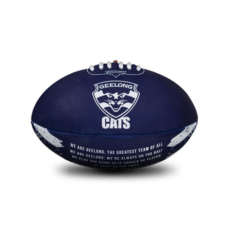 Sherrin PVC Song Football