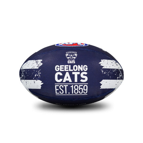 Sherrin PVC Song Football