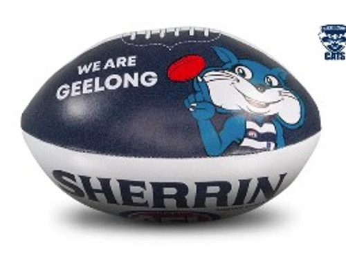 Sherrin Mini Soft Football