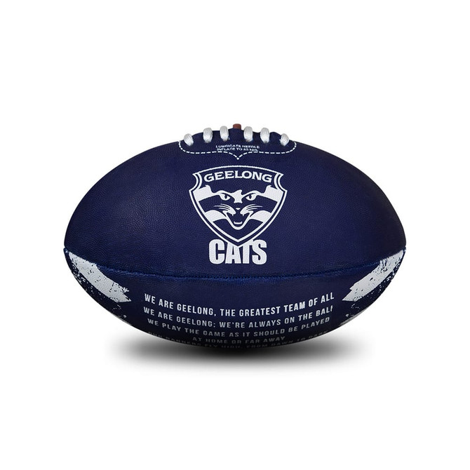 Sherrin PVC Song Football