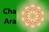 Cha Ara 