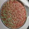 Perfuma - Multichrome Pressed Eyeshadow Spellcast Beauty