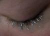 Sugar Moon Eye-llusions Mascara Topper