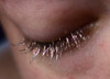 Stardust Eye-llusions Mascara Topper