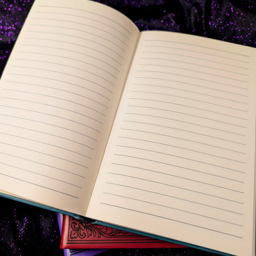 Empty Cage - Tori Amos themed Journal Empty Cage - Tori Amos themed Journal