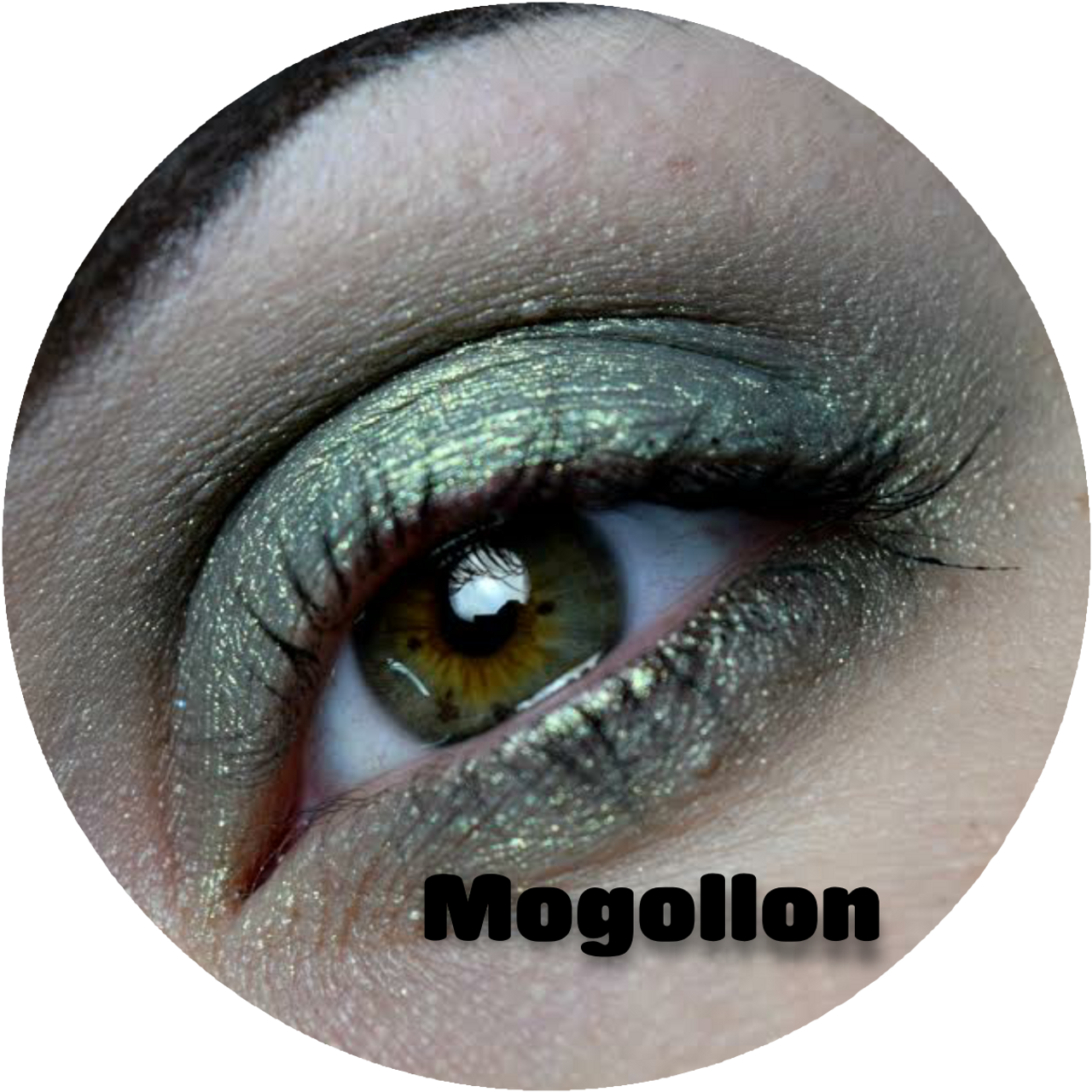 The Mogollon Monster: Arizona's Cryptid