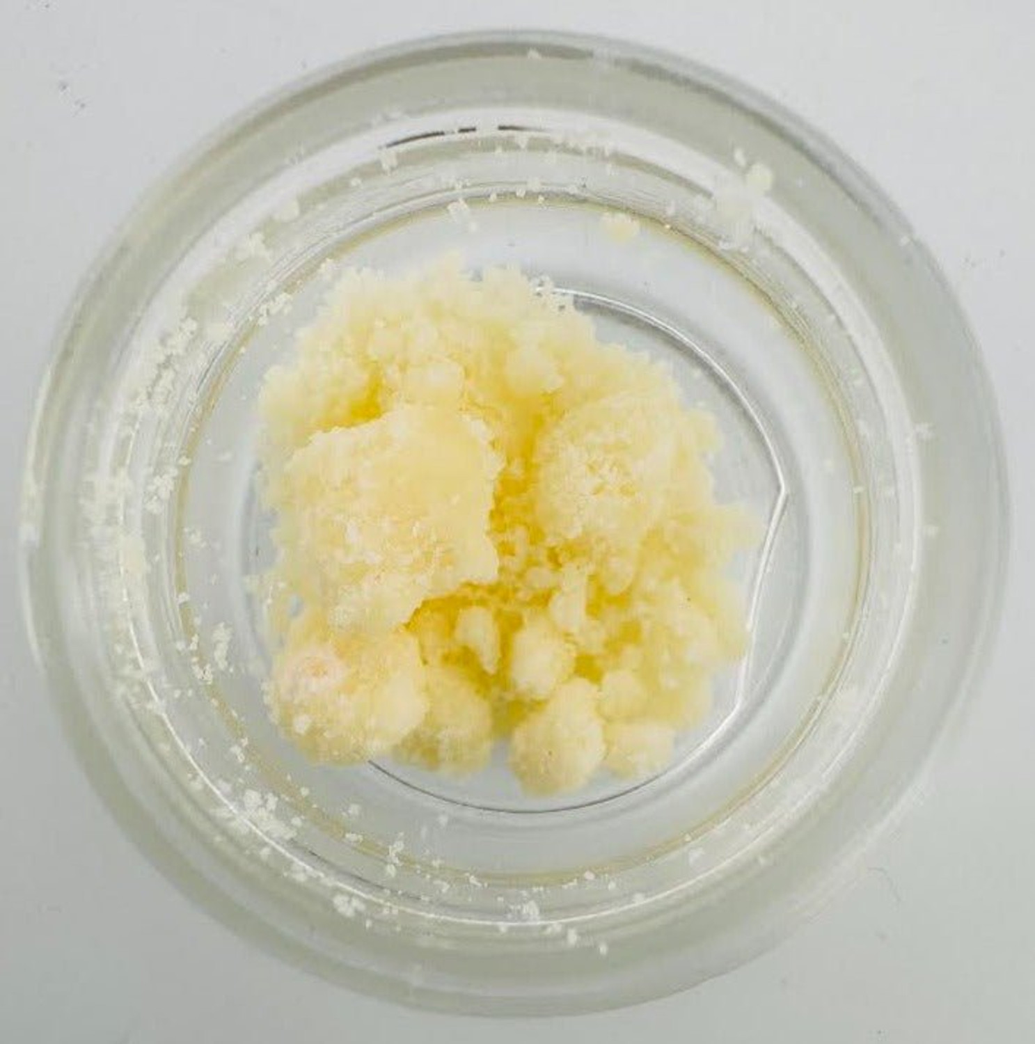 Bearly Legal THCa Crumble - 1 Gram Puck - Frosted Grape Bearly Legal THCa Crumble - 1 Gram Puck - Frosted Grape