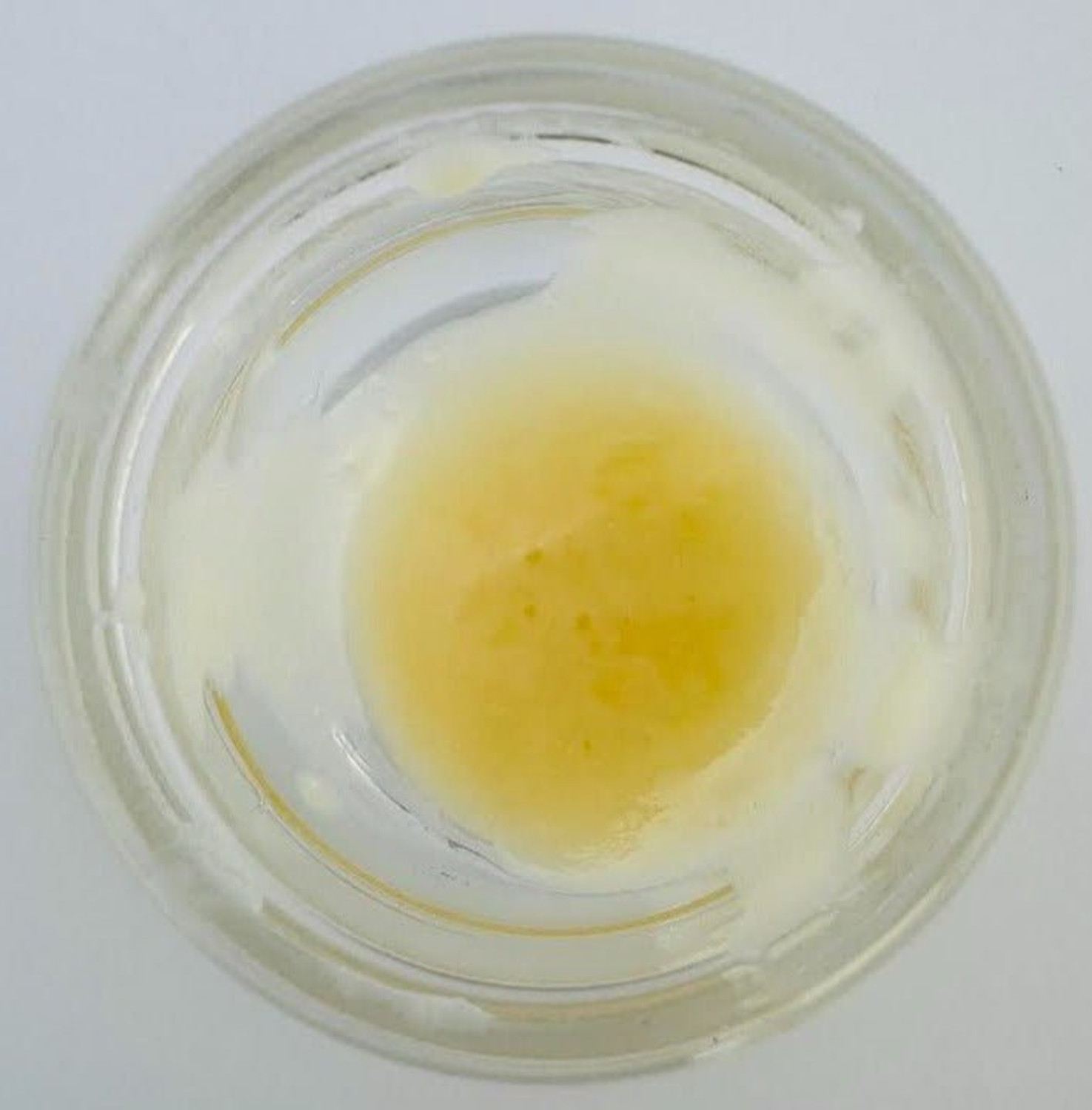 Bearly Legal THCa Live Resin 1g puck - Pineapple Express  - CDT Bearly Legal THCa Live Resin 1g puck - Pineapple Express  - CDT