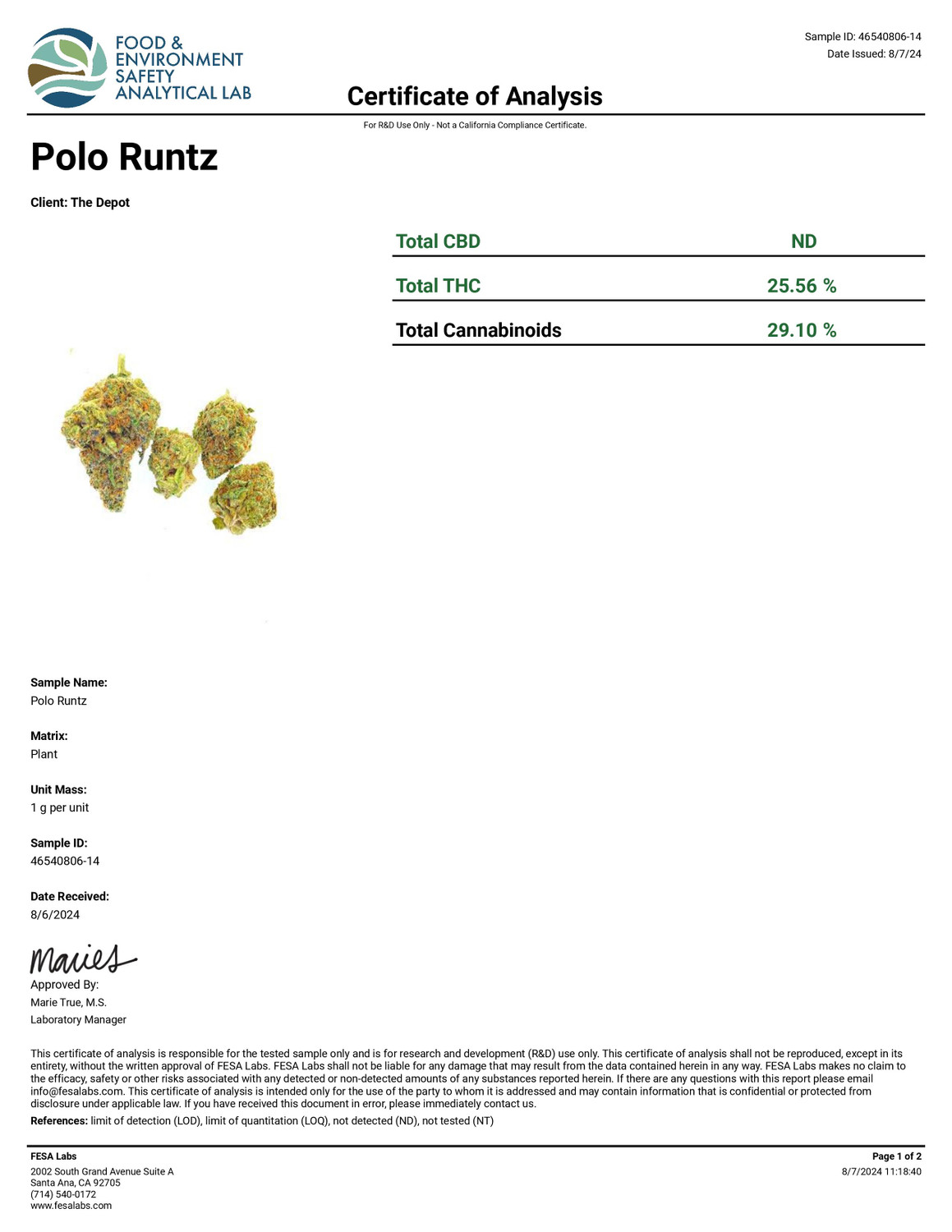 THCa Buds & Flower - Exotic Polo Runtz 7g