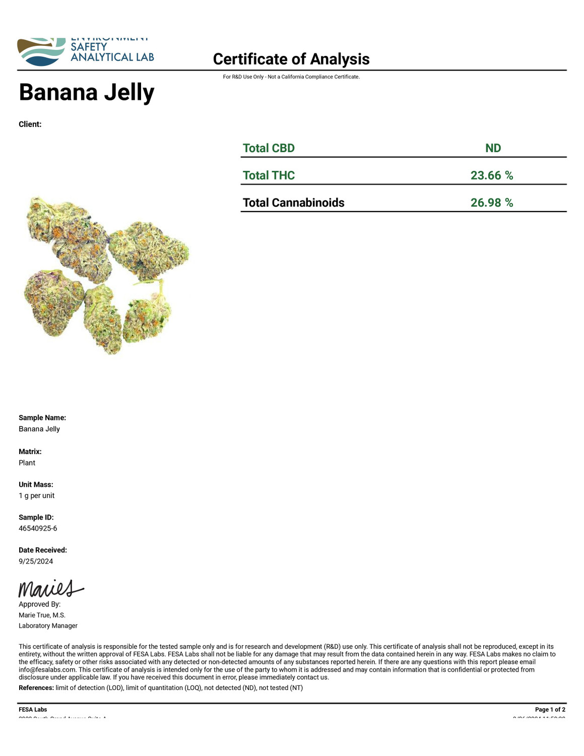 THCa Buds & Flower -Light Dep - Banana Jelly 7G