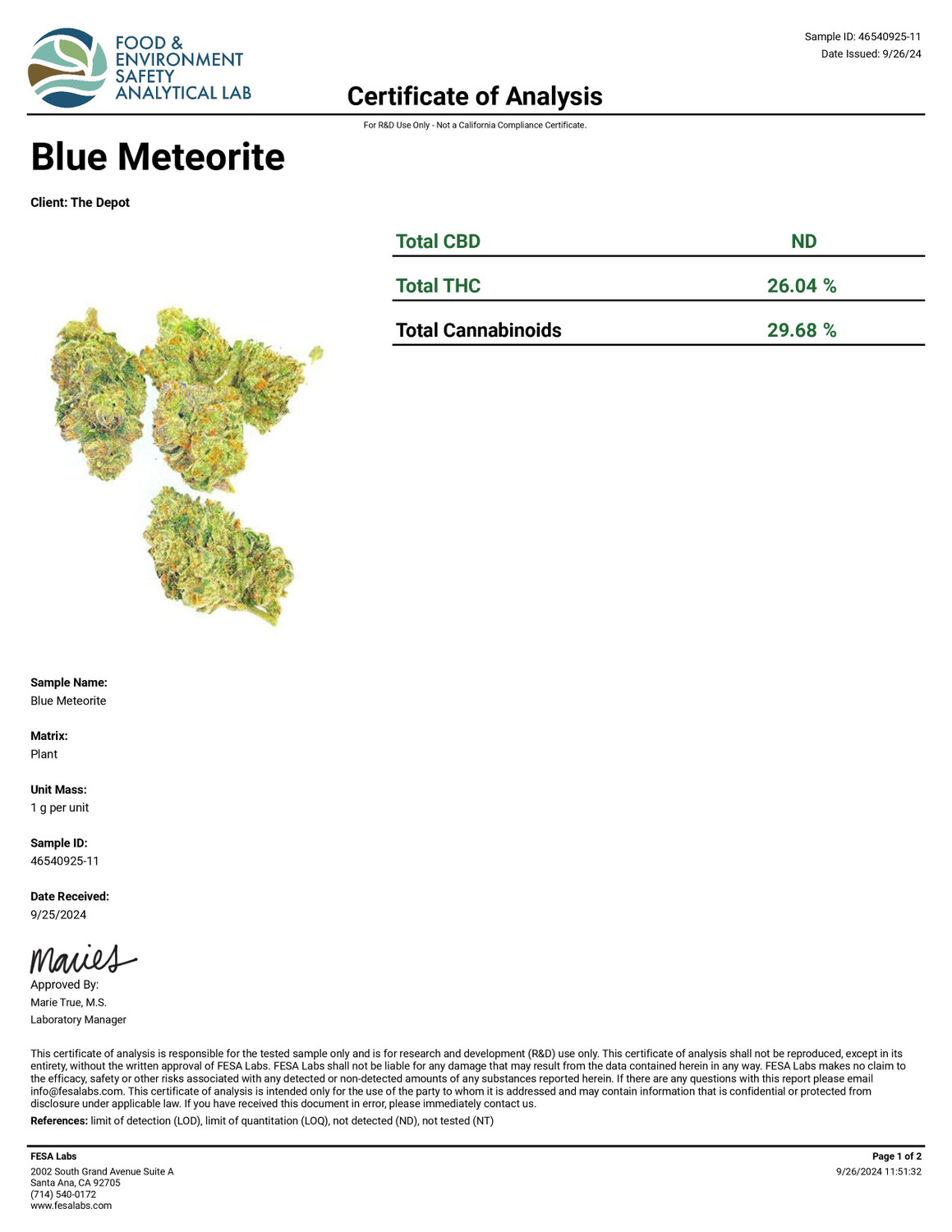THCa Buds & Flower - Exotic Blue Meteorite 3.5 G