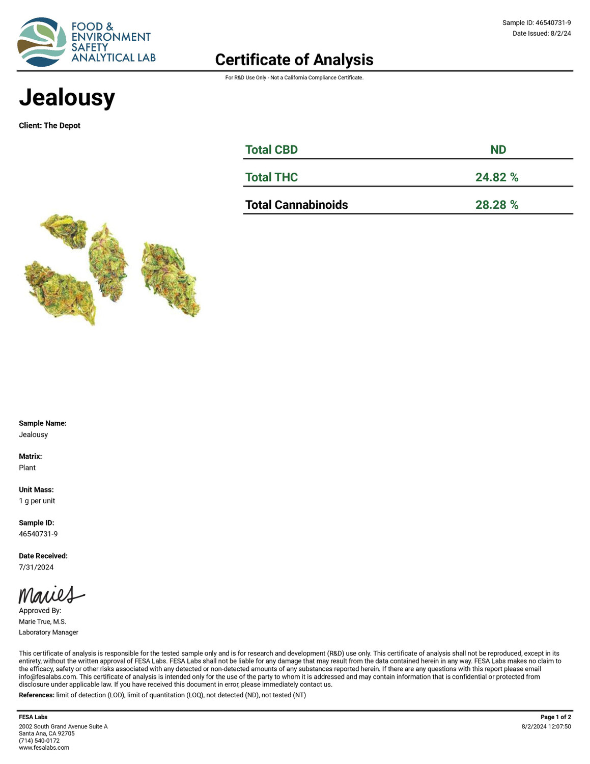 THCa Buds & Flower -Light Dep - Jealousy 7G THCa Buds & Flower -Light Dep - Jealousy 7G