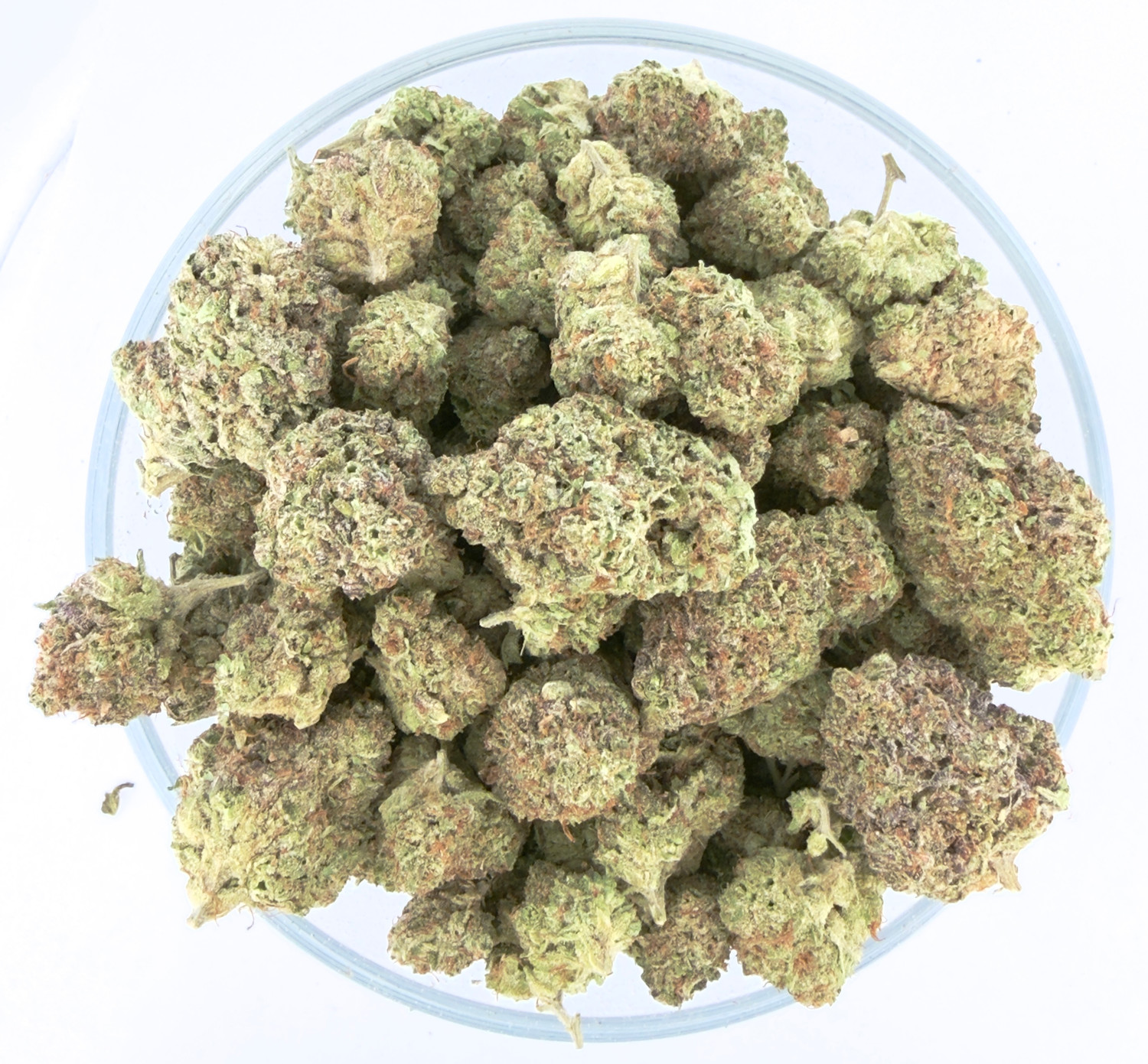 THCa Buds & Flower -Light Dep - Formula 1  7G